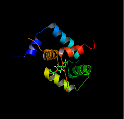 The structure of a calcium sensitizing compound bound to the Troponin-C Troponin-I complex which regulates muscle contraction.